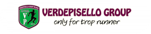 VerdepiselloGroup,it Logo
